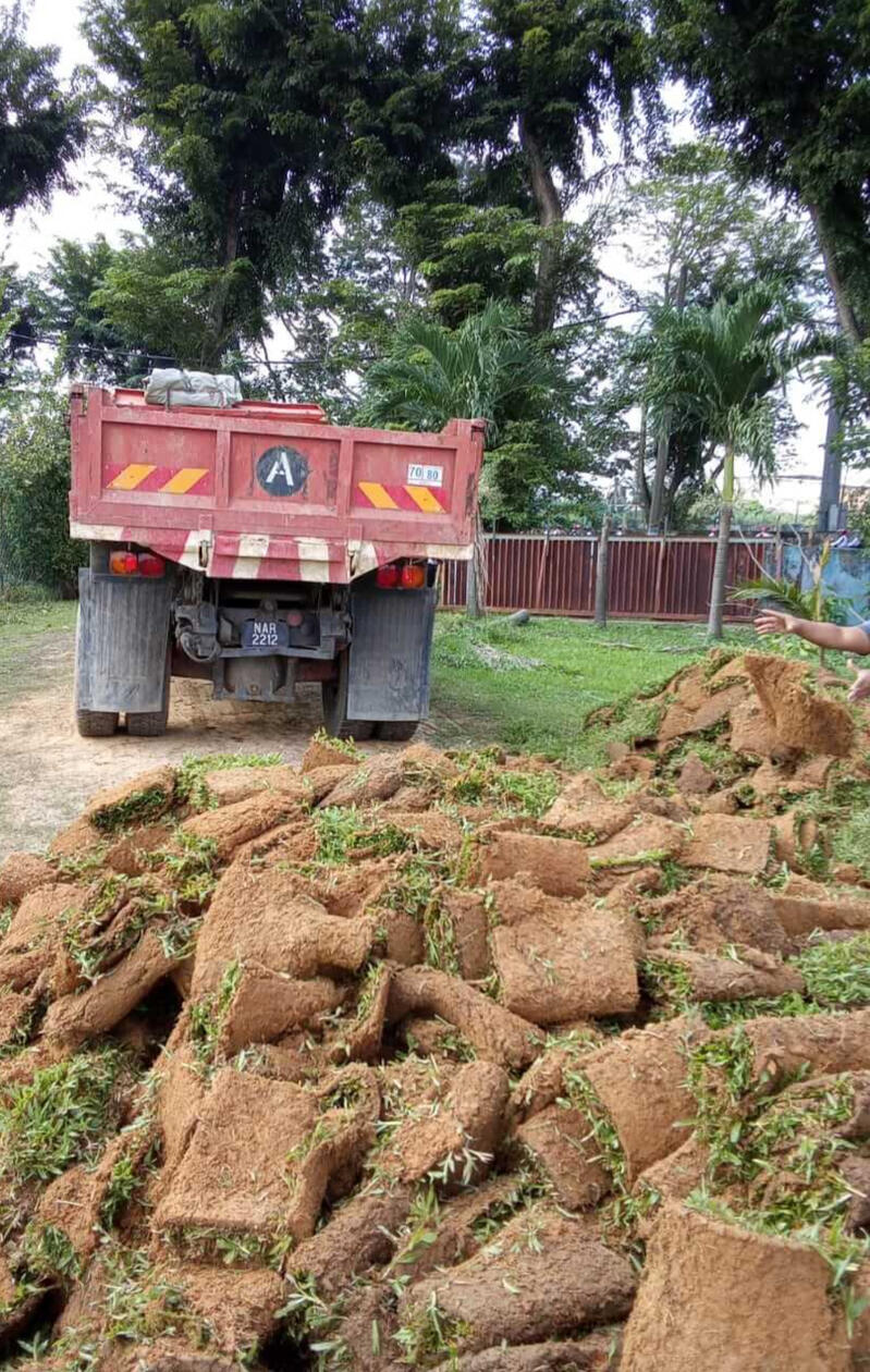 delivery of grass- door to door