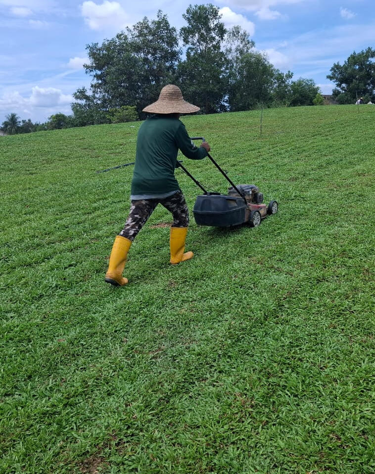 Trimming